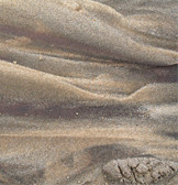 Sediman